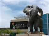 Museo de Vida Silvestre - SAN JUAN
